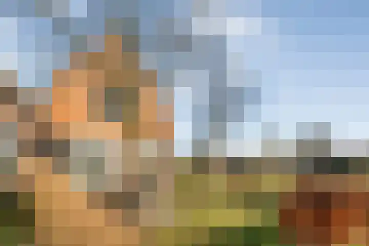 Lankhorsterweg 20 Staphorst thumbnail 5
