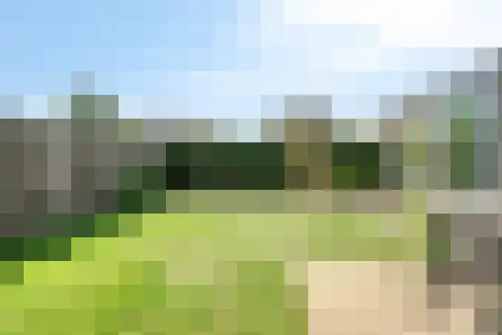Lankveld 37 Erp thumbnail 31