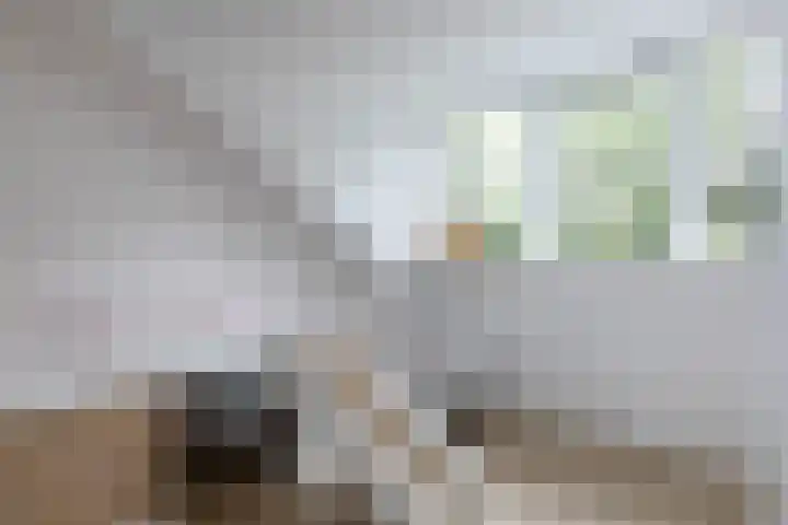 Lanphenlaan 3 Blaricum thumbnail 22