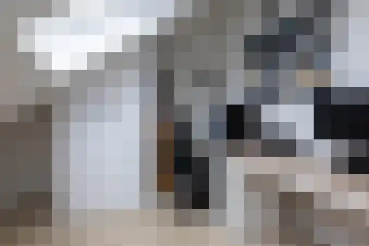 Lanphenlaan 3 Blaricum thumbnail 24