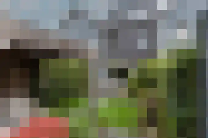 Lanphenlaan 3 Blaricum thumbnail 28