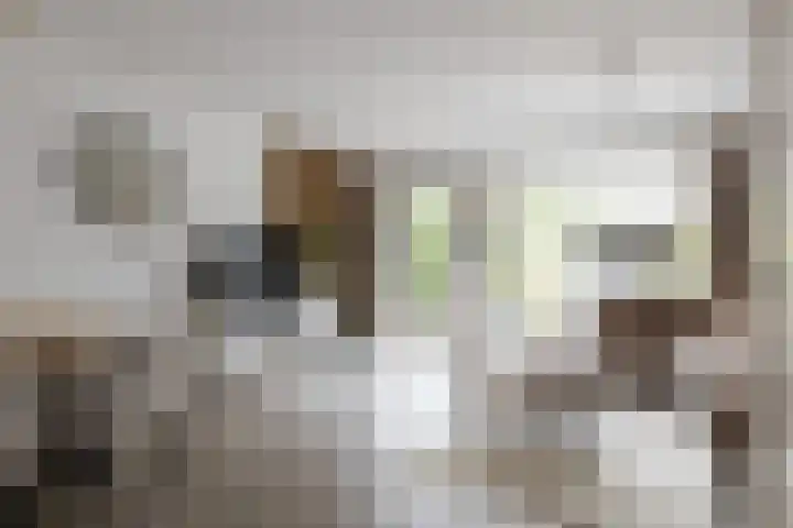 Lanphenlaan 3 Blaricum thumbnail 4