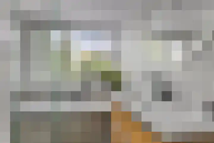 Lantingawerf 16 IJlst thumbnail 22