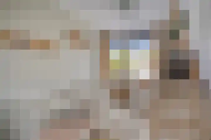 Lantingawerf 16 IJlst thumbnail 26