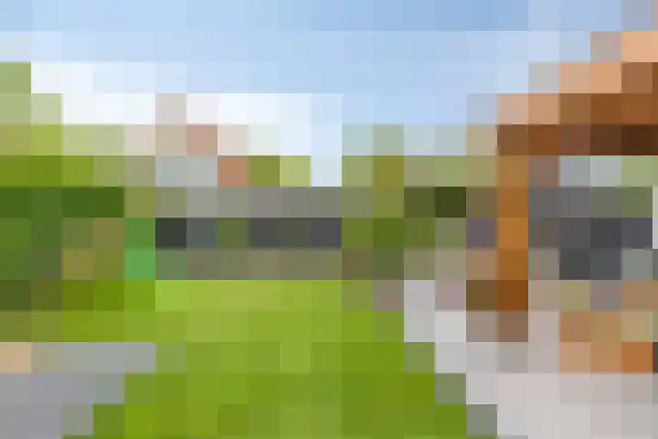 Lantingawerf 16 IJlst thumbnail 30