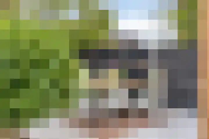 Lantingawerf 16 IJlst thumbnail 35
