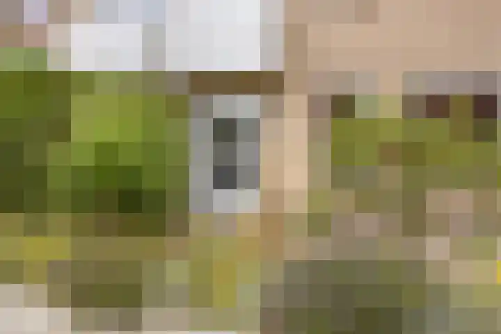 Lantingawerf 16 IJlst thumbnail 8