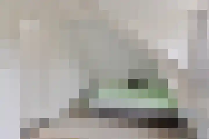 Laone 16 Renesse thumbnail 17