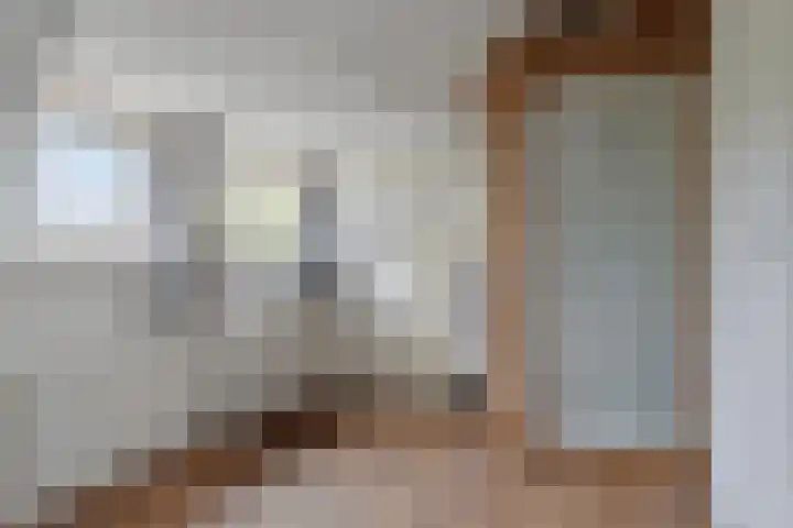 Laone 16 Renesse thumbnail 18
