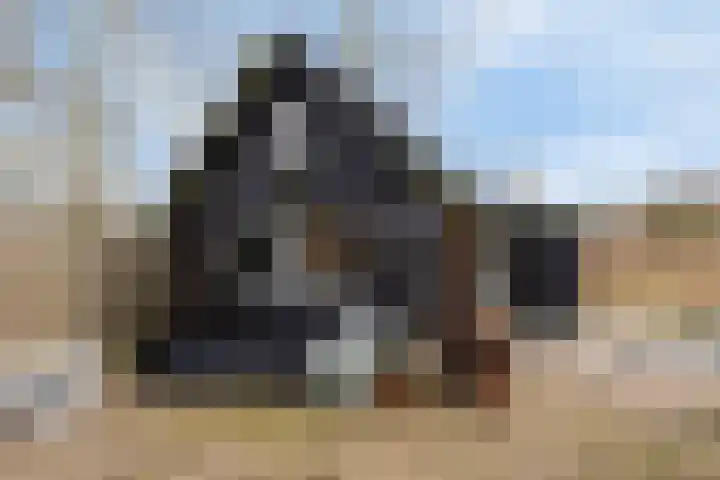Laone 16 Renesse thumbnail 22