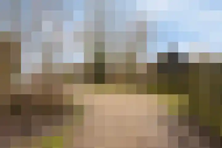 Laone 16 Renesse thumbnail 24