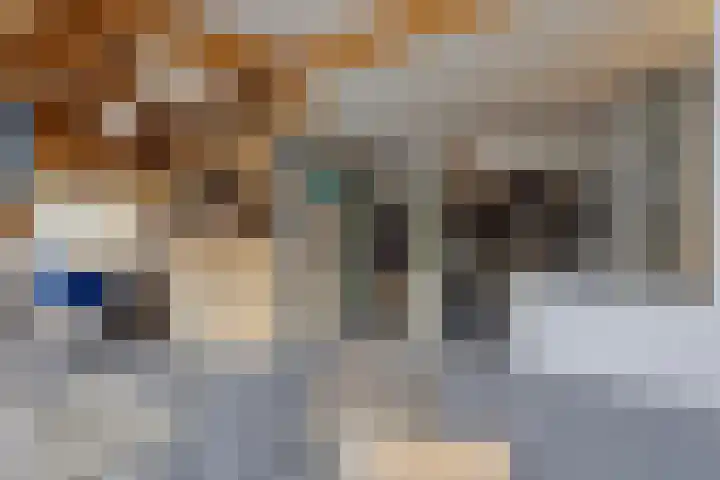 Laone 16 Renesse thumbnail 25