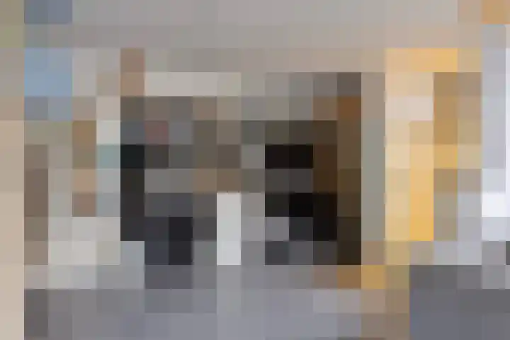 Laone 16 Renesse thumbnail 28