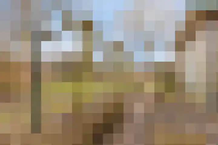 Laone 16 Renesse thumbnail 32