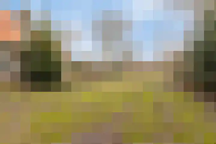 Laone 16 Renesse thumbnail 33