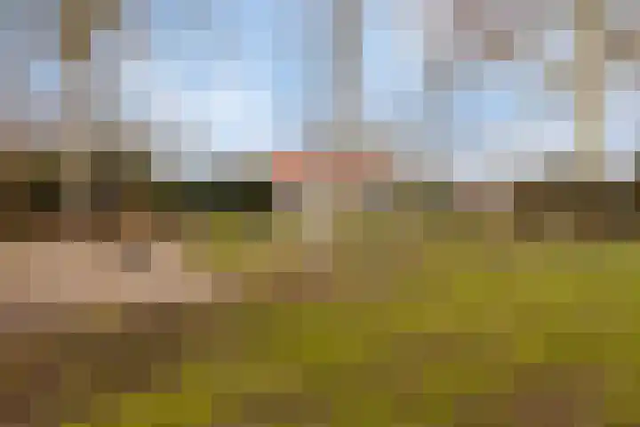 Laone 16 Renesse thumbnail 34