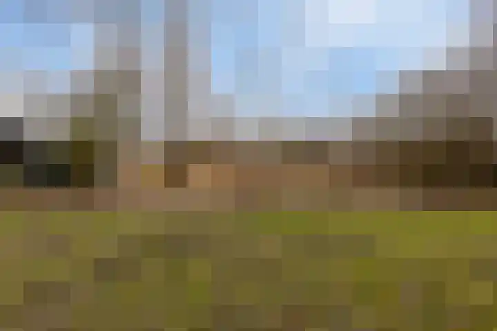 Laone 16 Renesse thumbnail 36