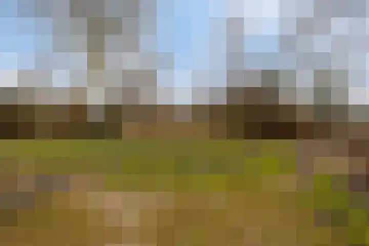 Laone 16 Renesse thumbnail 37