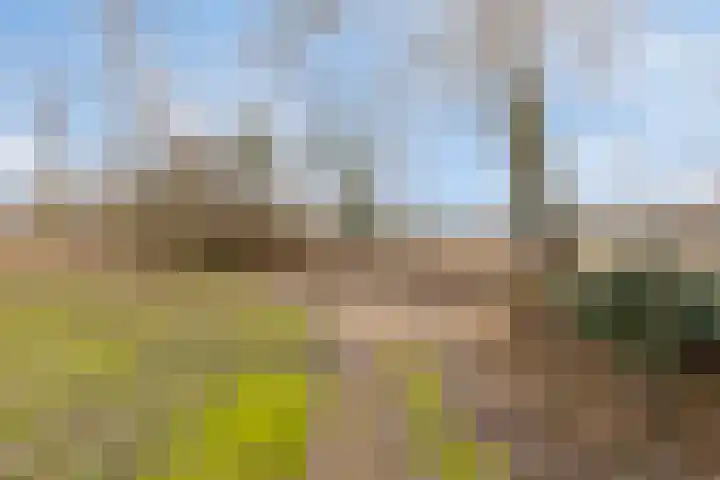 Laone 16 Renesse thumbnail 38