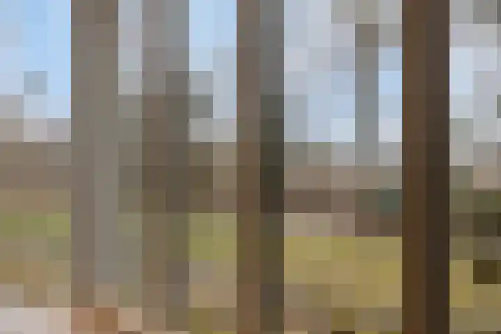 Laone 16 Renesse thumbnail 4