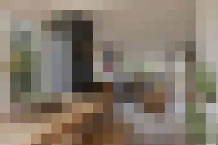 Laone 16 Renesse thumbnail 7