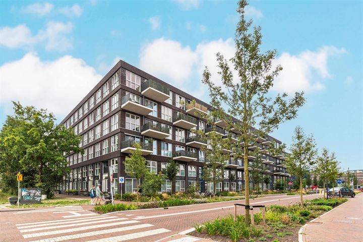 Lapis Lazuli 155 in Heerhugowaard foto