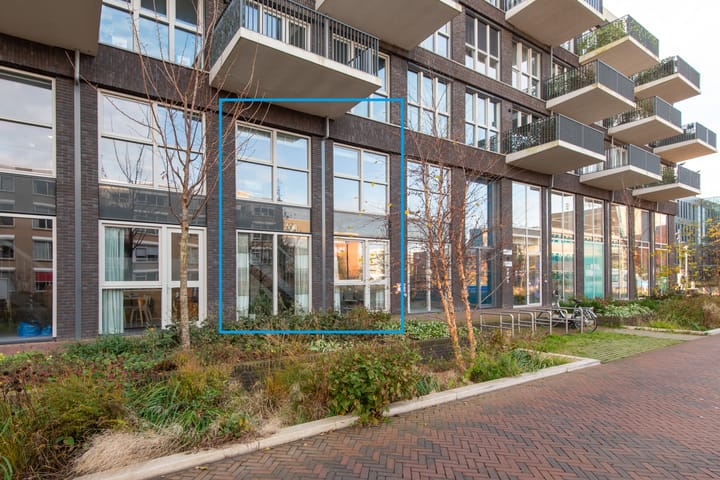 Lapis Lazuli 7 in Heerhugowaard foto