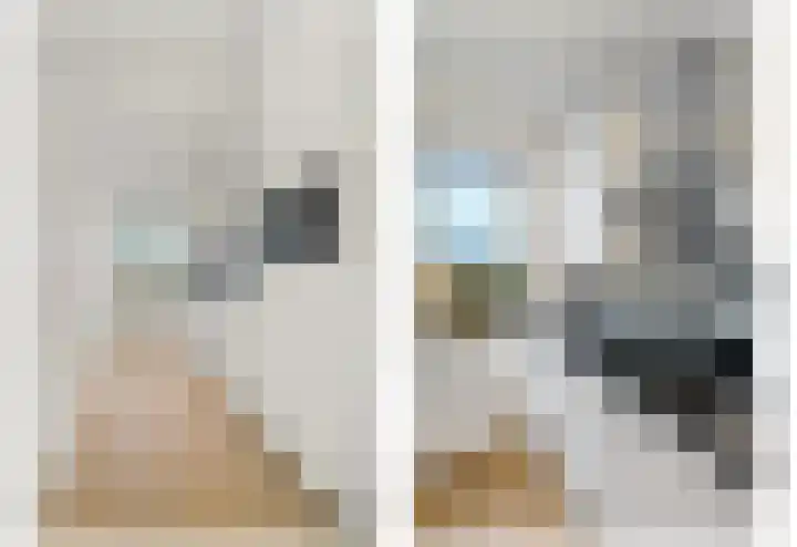 Foto van Lara Senders