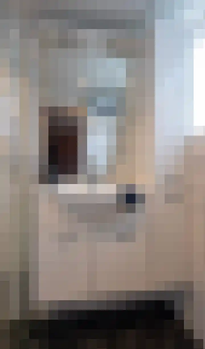 Larikshof 14 Putten thumbnail 15