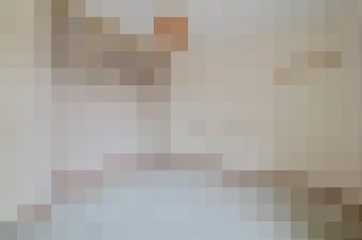 Larikshof 8 Putten thumbnail 10