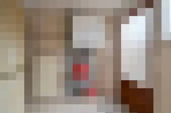 Larikshof 8 Putten thumbnail 15