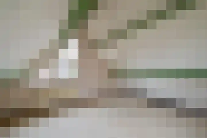 Larikshof 8 Putten thumbnail 19