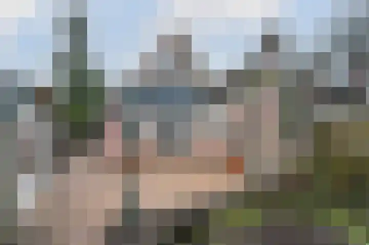 Larikshof 8 Putten thumbnail 20