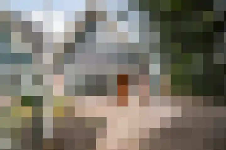 Larikshof 8 Putten thumbnail 23