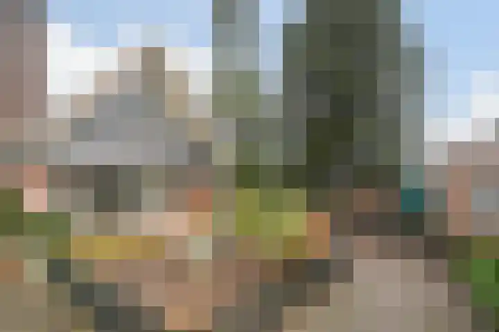 Larikshof 8 Putten thumbnail 24