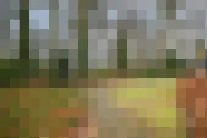 Larikshof 8 Putten thumbnail 26