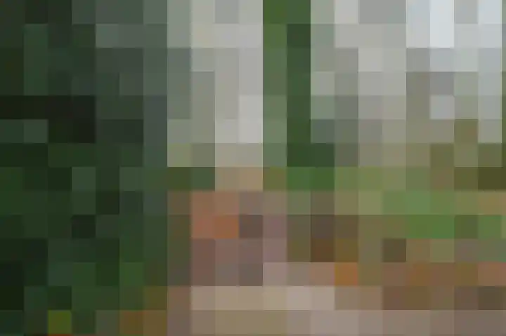 Larikshof 8 Putten thumbnail 27