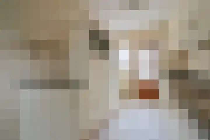 Larikshof 8 Putten thumbnail 9