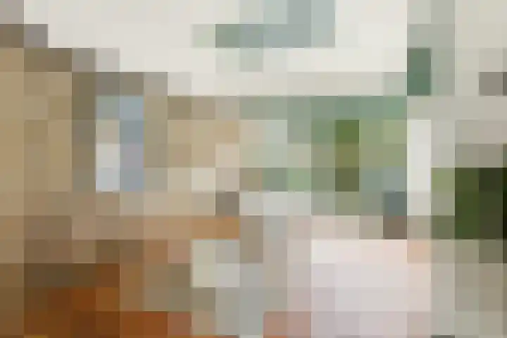 Larikslaan 153 Rotterdam thumbnail 13