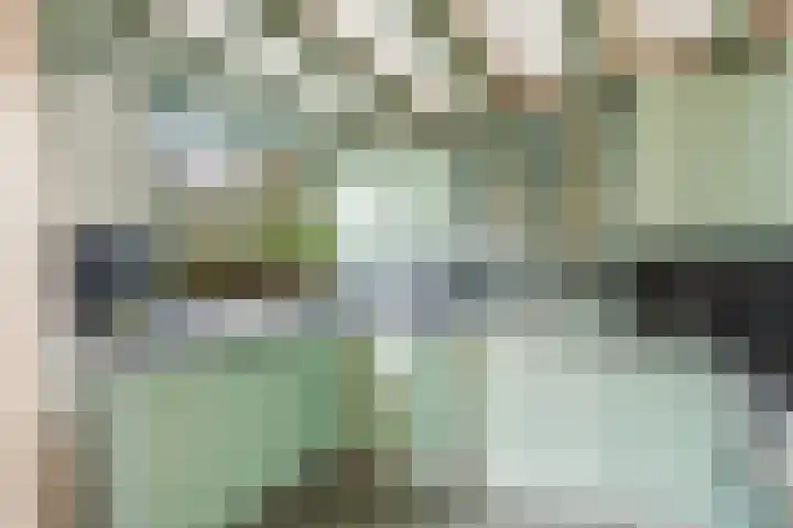 Larikslaan 153 Rotterdam thumbnail 19