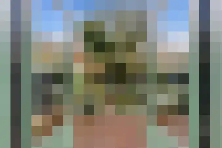 Larikslaan 153 Rotterdam thumbnail 4