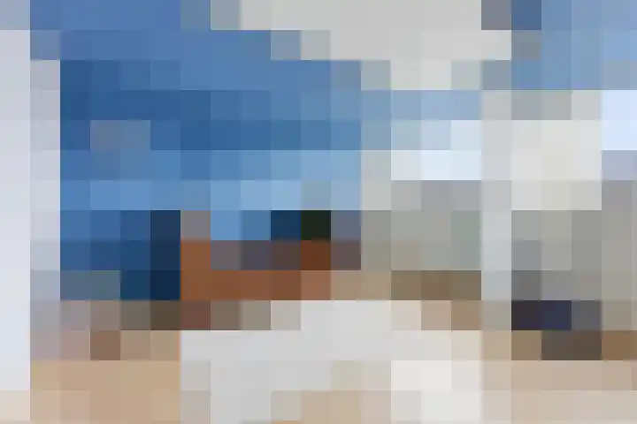 Larikslaan 153 Rotterdam thumbnail 41