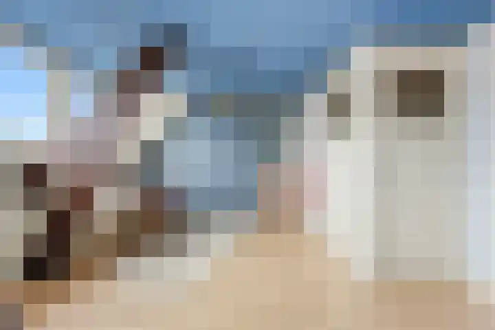 Larikslaan 153 Rotterdam thumbnail 42