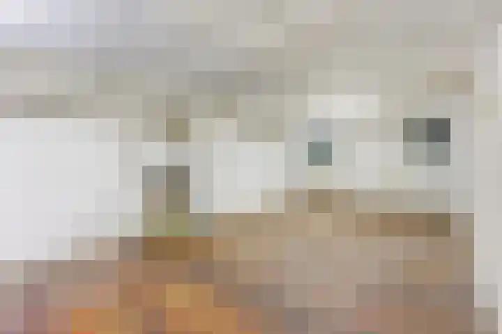 Larikslaan 153 Rotterdam thumbnail 48
