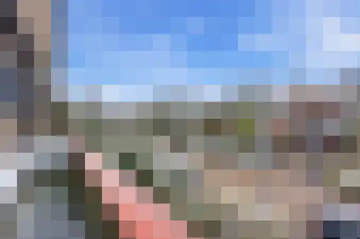 Larikslaan 153 Rotterdam thumbnail 5