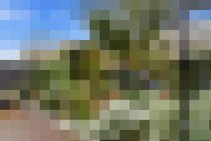 Larikslaan 153 Rotterdam thumbnail 52