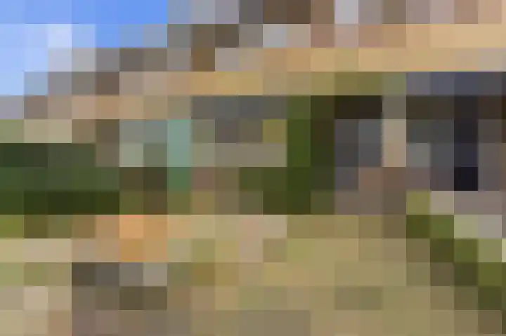 Larikslaan 153 Rotterdam thumbnail 57