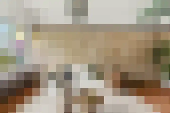 Larikslaan 153 Rotterdam thumbnail 8