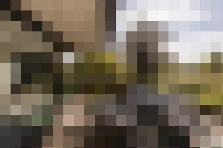 Larikslaan 2 Amsterdam thumbnail 15