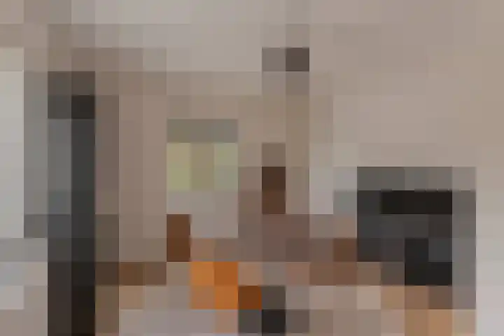 Larikslaan 2 Amsterdam thumbnail 19